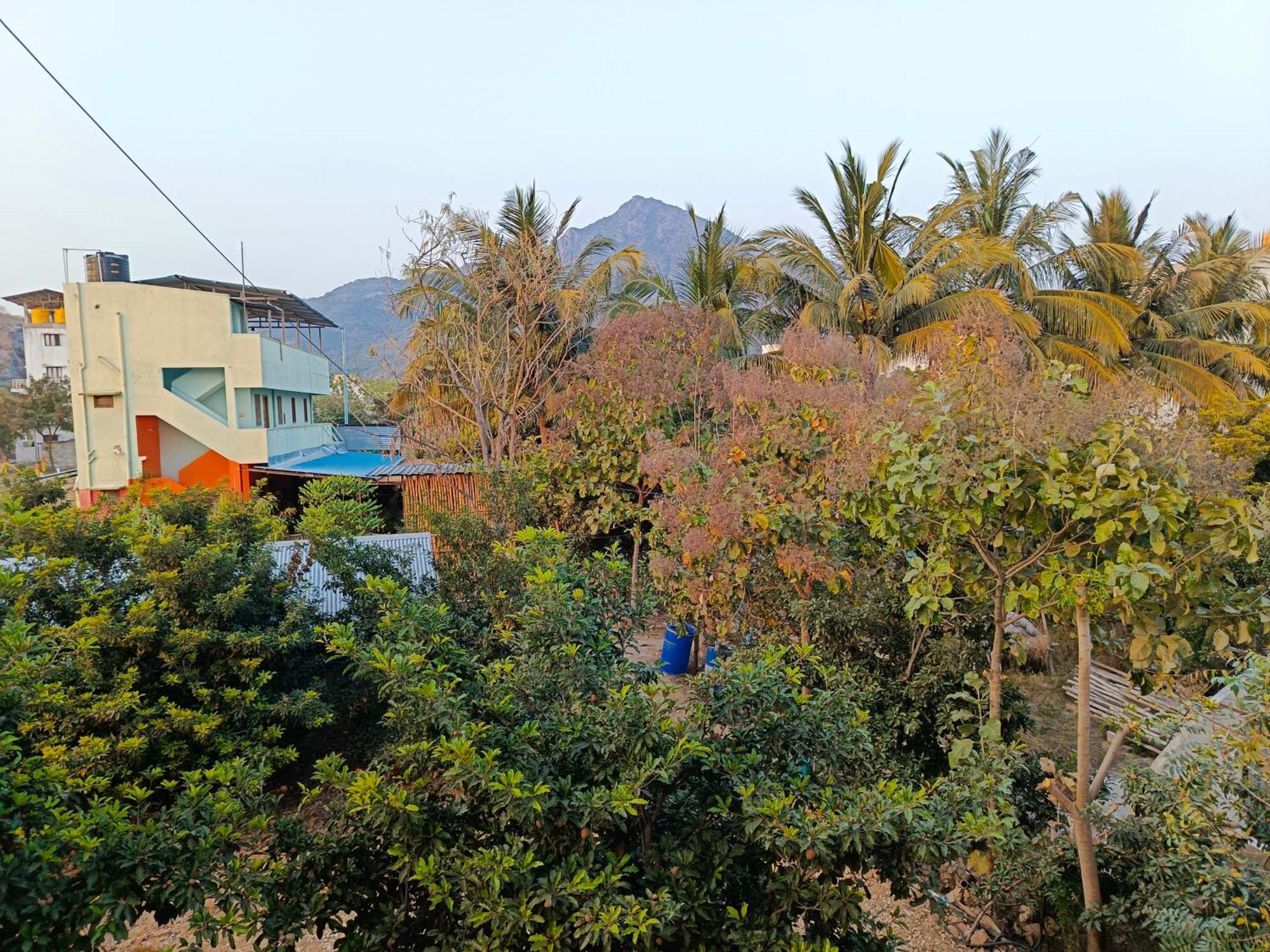 Abaranji Guest House Tiruvannāmalai Eksteriør bilde
